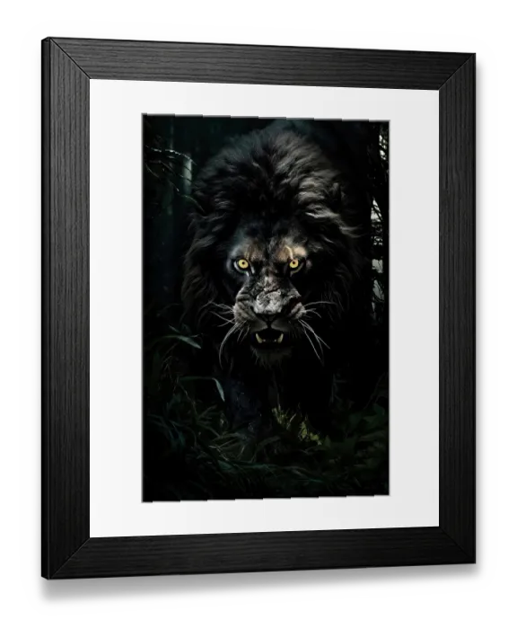 Framed Print : Black lion in jungle at night. ©Jim Zuckerman / Jaynes Gallery / DanitaDelimont.com (AI) Framed Print : Black lion in jungle at night. ©Jim Zuckerman / Jaynes Gallery / DanitaDelimont.com (AI)