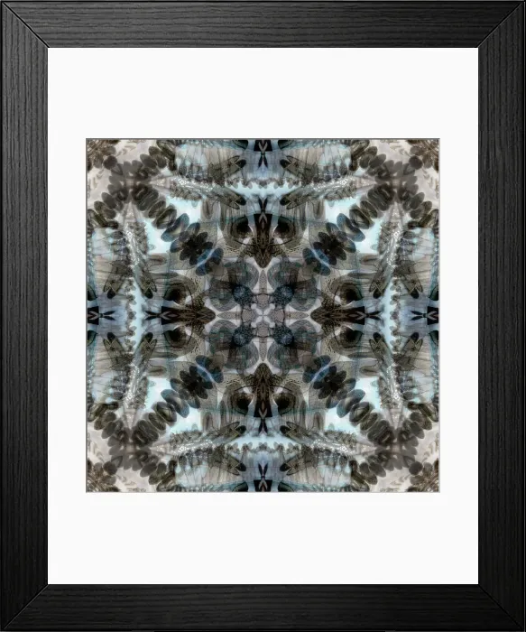 Framed Print : Black, white and blue kaleidoscope abstract Framed Print : Black, white and blue kaleidoscope abstract
