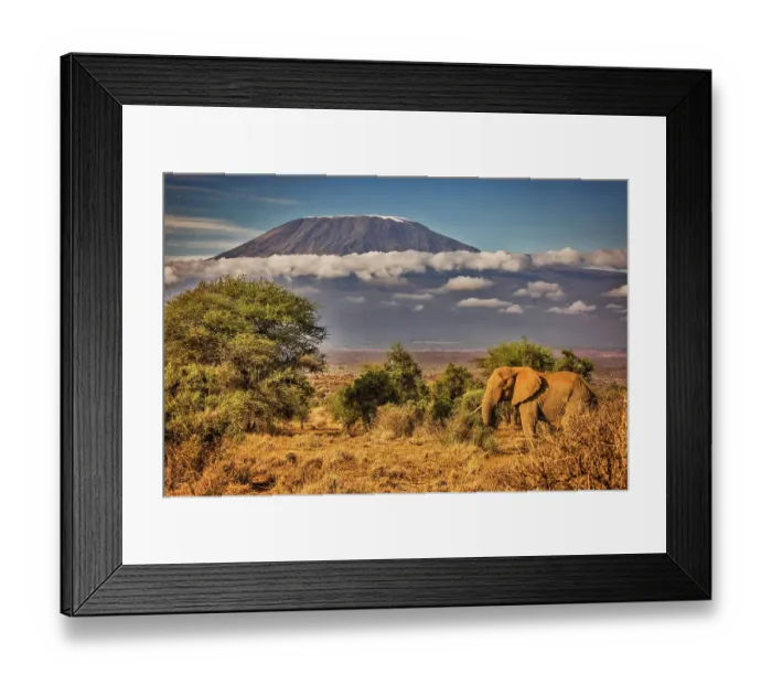 Framed Print : Kilimanjaro and elephant, Amboseli National Park Framed Print : Kilimanjaro and elephant, Amboseli National Park