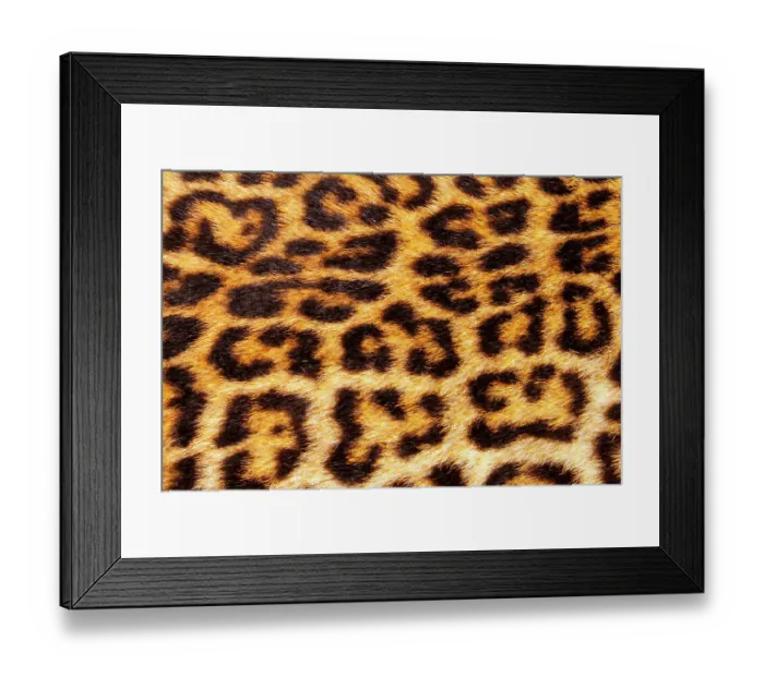 Framed Print : Leopard skin (Panthera Pardus) Framed Print : Leopard skin (Panthera Pardus)
