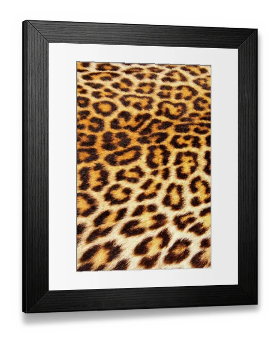 Framed Print : Leopard skin (Panthera Pardus)