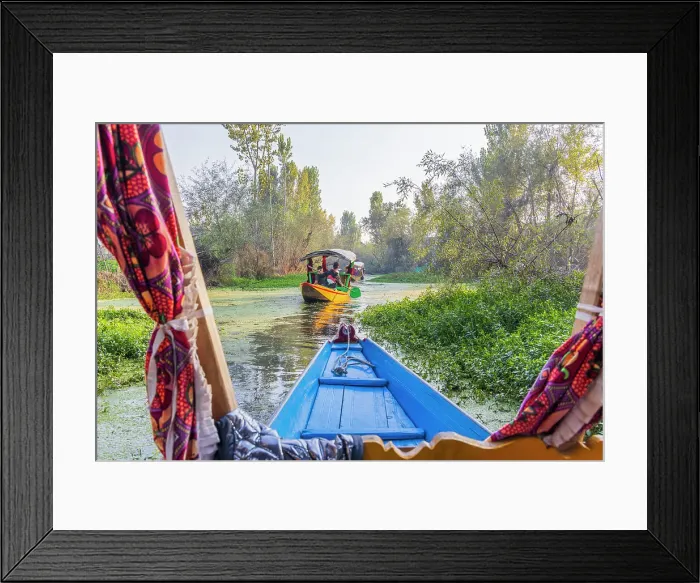 Framed Print : Rainawari, Srinagar, Jammu and Kashmir, India. Traditional shikara boats taking tourists on Dal Lake Framed Print : Rainawari, Srinagar, Jammu and Kashmir, India. Traditional shikara boats taking tourists on Dal Lake