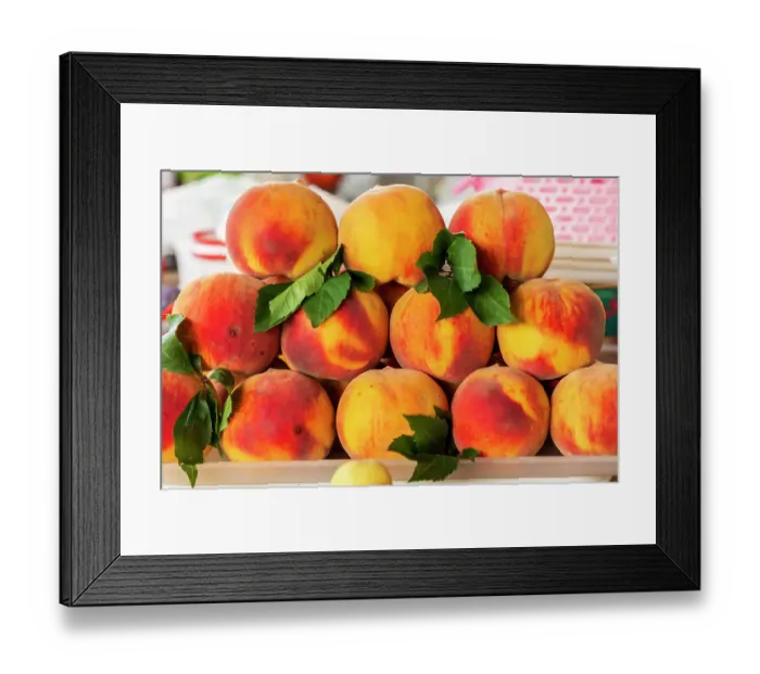 Framed Print : Armenia, Yerevan. Farmer's market. Peaches Framed Print : Armenia, Yerevan. Farmer's market. Peaches