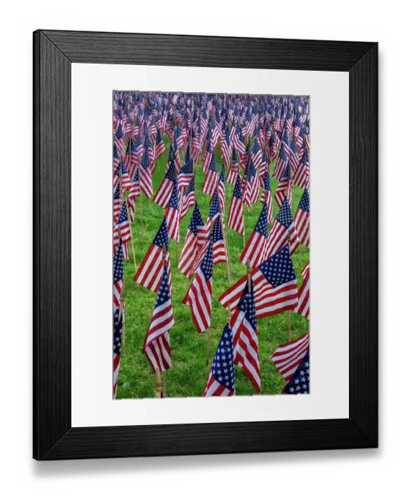 Framed Print : American flag display Framed Print : American flag display