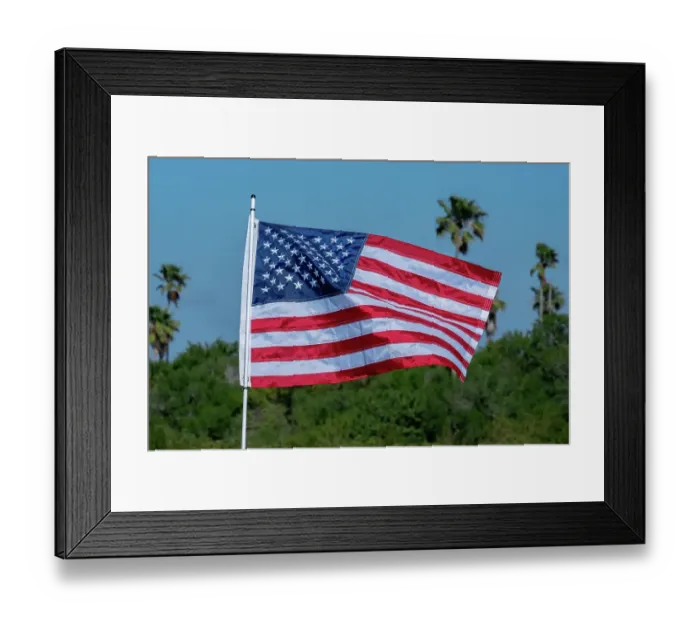 Framed Print : American flag, Florida Framed Print : American flag, Florida