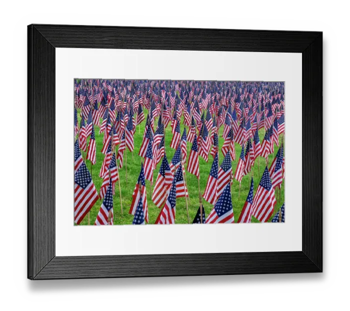 Framed Print : American flag display Framed Print : American flag display