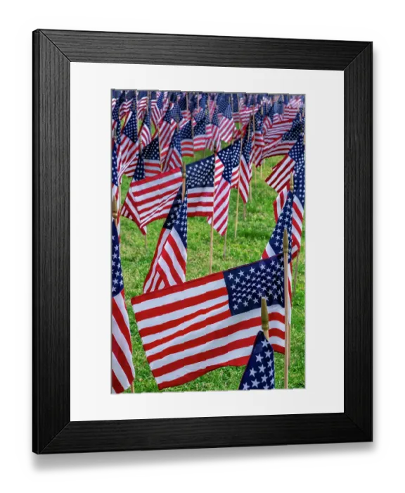 Framed Print : American flag display Framed Print : American flag display