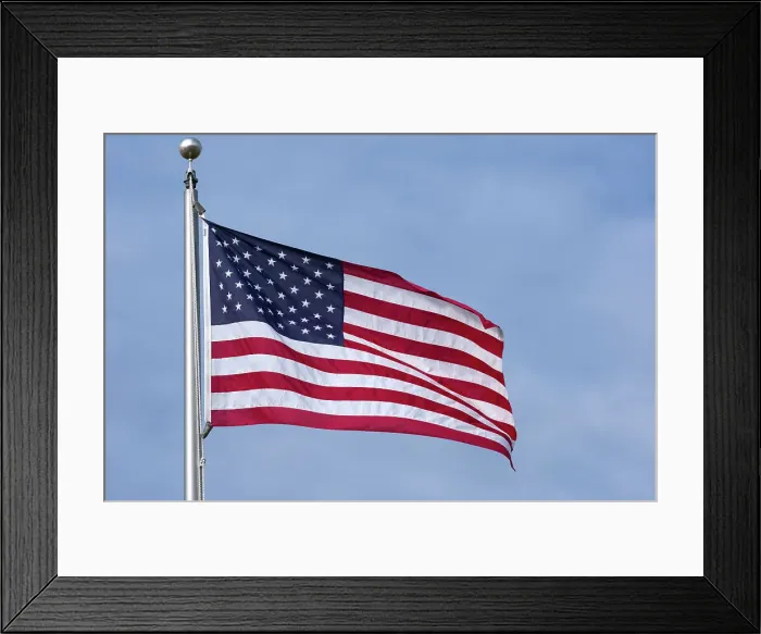 Framed Print : American flag