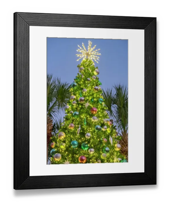 Framed Print : Decorated Christmas tree outdoors Framed Print : Decorated Christmas tree outdoors