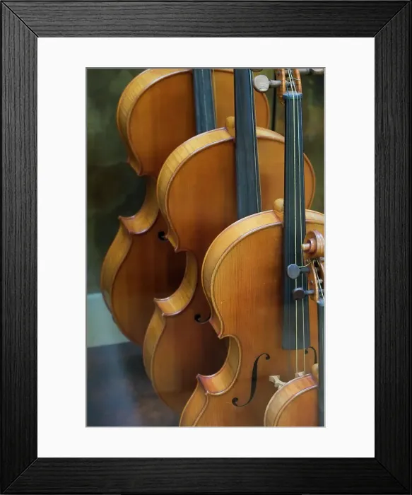 Framed Print : Paris, France. Antique cellos Framed Print : Paris, France. Antique cellos