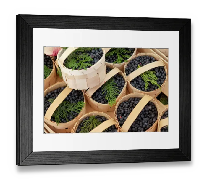 Framed Print : Munich, Germany. Farmers market. Wild blueberries Framed Print : Munich, Germany. Farmers market. Wild blueberries