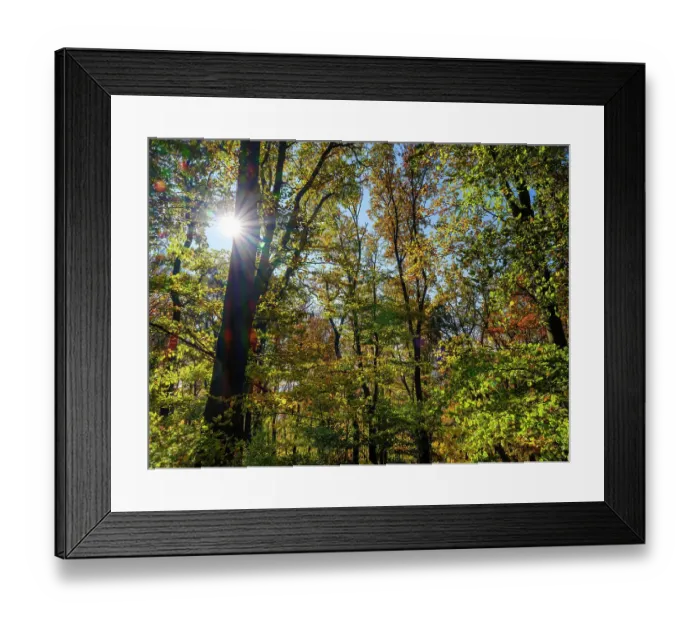 Framed Print : Autumn in the forest of the Koszeg mountains (Koszegi Hegyseg) near Velem in the nature park Geschriebenstein-Irottko. Eastern Europe, Hungary