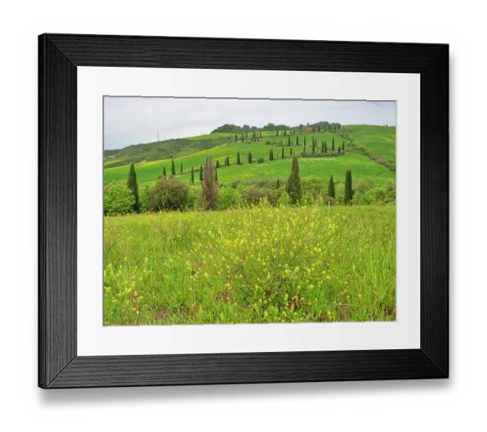 Framed Print : Italy, Tuscany. Winding road on the hillside near La Force