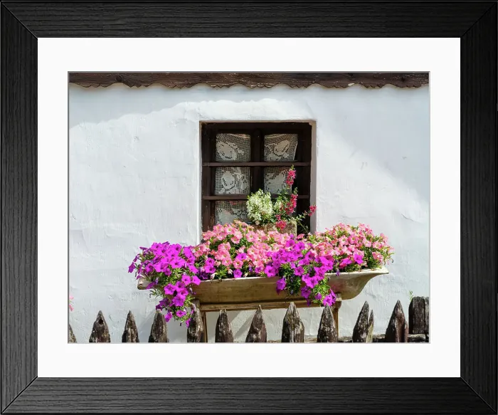 Framed Print : Flower arrangement. The Paloc village Holloko in Hungary, listed as UNESCO World Heritage Site. The traditional farm houses form a complete village as it looked during the middle ages