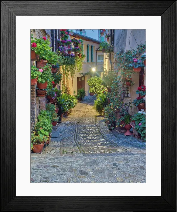 Framed Print : Italy, Umbria, Spello. Alley with potted plants Framed Print : Italy, Umbria, Spello. Alley with potted plants