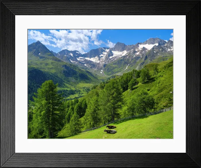 Framed Print : Valley Seeber Tal view towards Mt. Hochfirst and Mt. Granatenkogel in the Nature Park Texelgruppe in the Passeier Valley in the Otztal Alps. Italy, South Tyrol Framed Print : Valley Seeber Tal view towards Mt. Hochfirst and Mt. Granatenkogel in the Nature Park Texelgruppe in the Passeier Valley in the Otztal Alps. Italy, South Tyrol