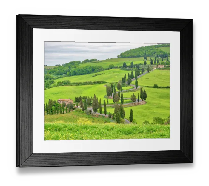 Framed Print : Italy, Tuscany. Monticello, Winding road through fields of crops Framed Print : Italy, Tuscany. Monticello, Winding road through fields of crops