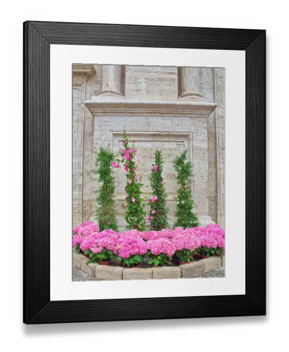 Framed Print : Italy, Tuscany, Pienza. Flowers in front of Pienza Cathedral Framed Print : Italy, Tuscany, Pienza. Flowers in front of Pienza Cathedral