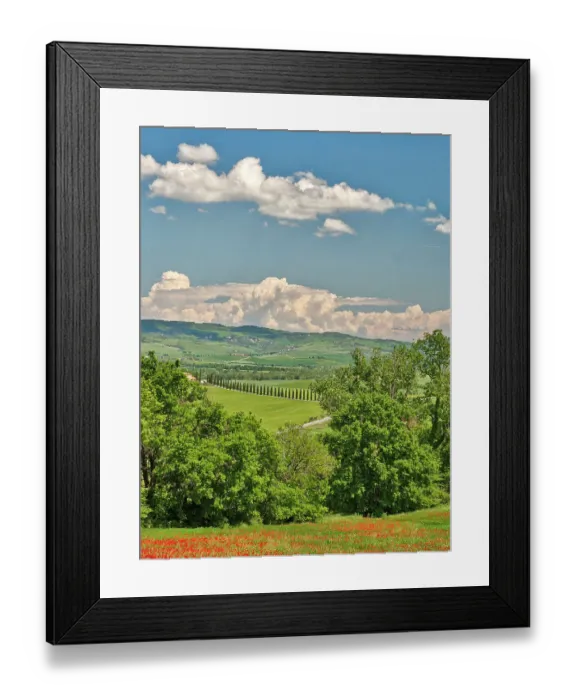 Framed Print : Italy, Tuscany. View of long rows of cypress trees and villa