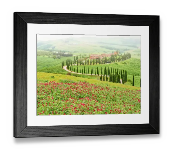 Framed Print : Italy, Tuscany, Asciano. Crete Senesi winding cypress road
