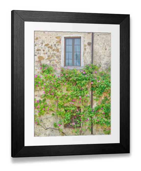 Framed Print : Italy, Tuscany. Rose covered old stone wall and window Framed Print : Italy, Tuscany. Rose covered old stone wall and window