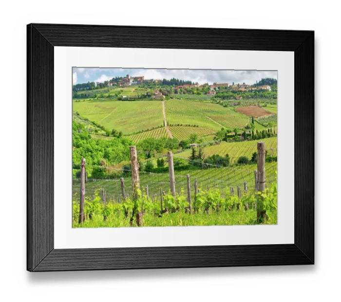 Framed Print : Italy, Tuscany, Panzano. Spring green of the vineyards Framed Print : Italy, Tuscany, Panzano. Spring green of the vineyards