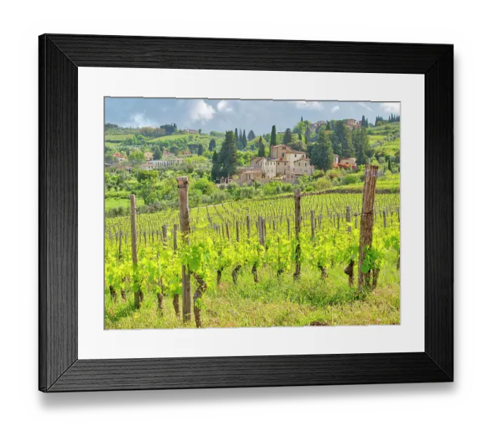 Framed Print : Italy, Tuscany, Panzano. Spring green of the vineyards