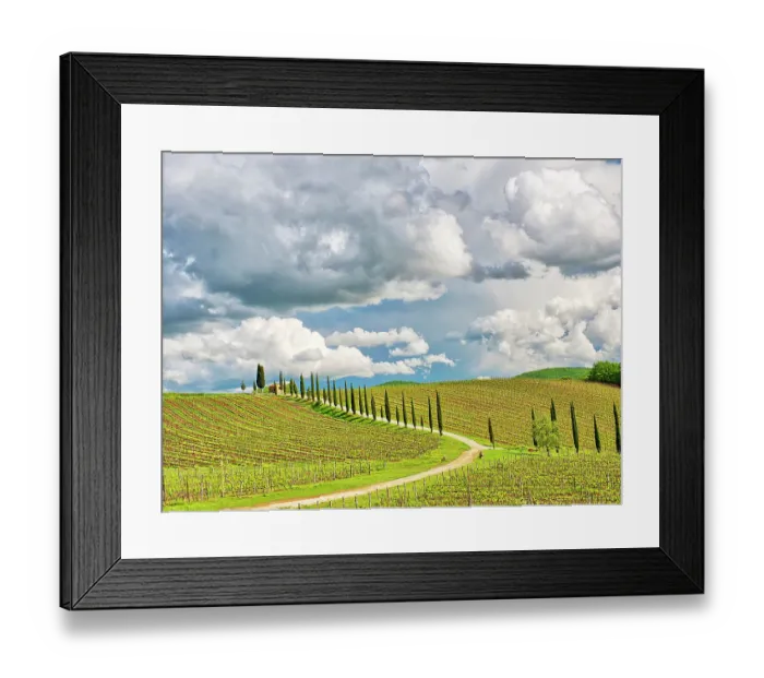 Framed Print : Italy, Tuscany. Chianti Region, winding road through Spring vineyards lined with cypress Framed Print : Italy, Tuscany. Chianti Region, winding road through Spring vineyards lined with cypress