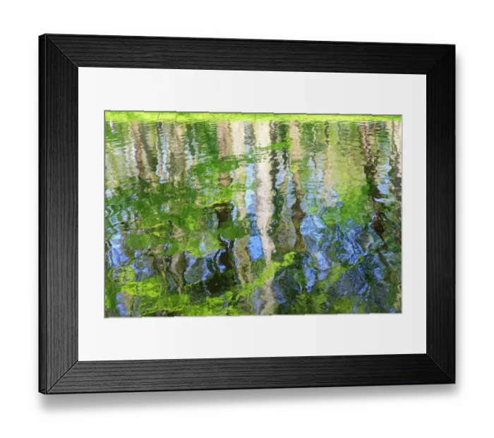 Framed Print : Netherlands, Zuid Holland, Lisse. Reflections of the woods in a pond Framed Print : Netherlands, Zuid Holland, Lisse. Reflections of the woods in a pond