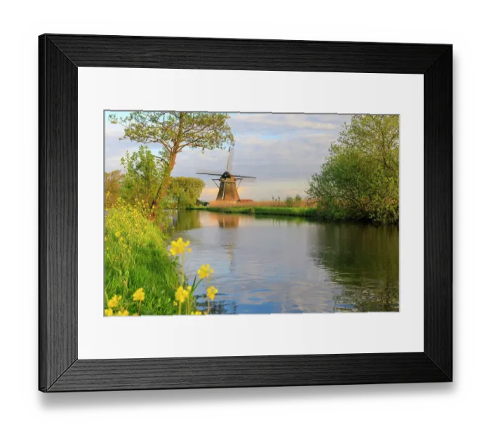 Framed Print : Netherlands, Holland. Utrecht, Abcoude, Molenweg. Windmills