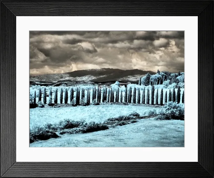 Framed Print : Italy. Infrared of vineyards and Wheat field in southern Tuscany
