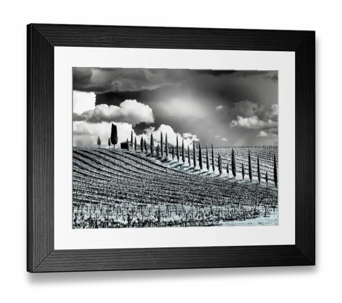 Framed Print : Italy. Infrared of field road and vineyards in Chianti region