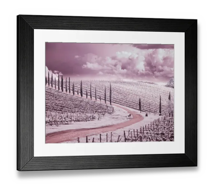 Framed Print : Italy. Infrared of field road and vineyards in Chianti region Framed Print : Italy. Infrared of field road and vineyards in Chianti region