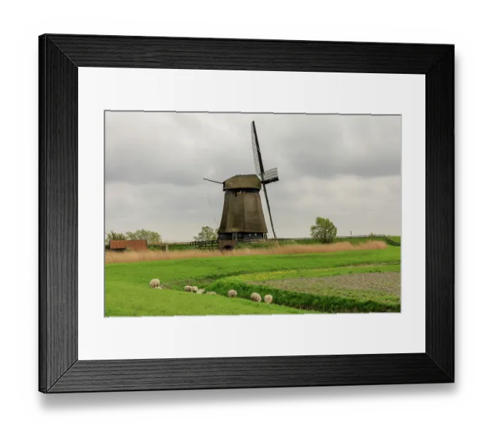 Framed Print : Netherlands, Noth Holland. Molencomplex. Schermerhorn. Windmills