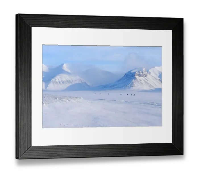 Framed Print : Group of snowmobiles driving on frozen Petuniabukta in fjord Billefjorden. Winter landscape on the island Spitsbergen in the Svalbard Archipelago. Scandinavia, Norway Framed Print : Group of snowmobiles driving on frozen Petuniabukta in fjord Billefjorden. Winter landscape on the island Spitsbergen in the Svalbard Archipelago. Scandinavia, Norway