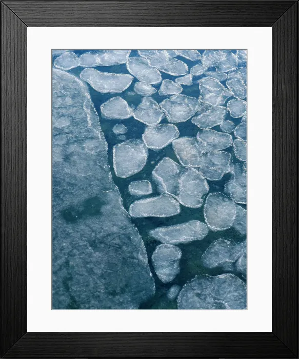 Framed Print : Pancake ice, process of forming of sea ice. Coast of Colesbukta part of Isfjorden during winter, on the island of Spitsbergen in the Svalbard Archipelago. Arctic, Norway Framed Print : Pancake ice, process of forming of sea ice. Coast of Colesbukta part of Isfjorden during winter, on the island of Spitsbergen in the Svalbard Archipelago. Arctic, Norway