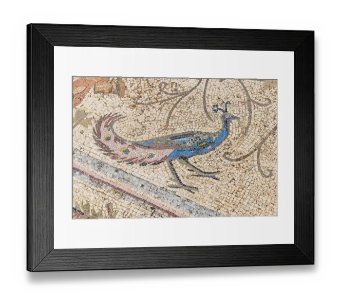 Framed Print : Ben Arous, Tunisia. Roman mosaic floor with a blue peacock at the Uthina Archaeological Site Framed Print : Ben Arous, Tunisia. Roman mosaic floor with a blue peacock at the Uthina Archaeological Site