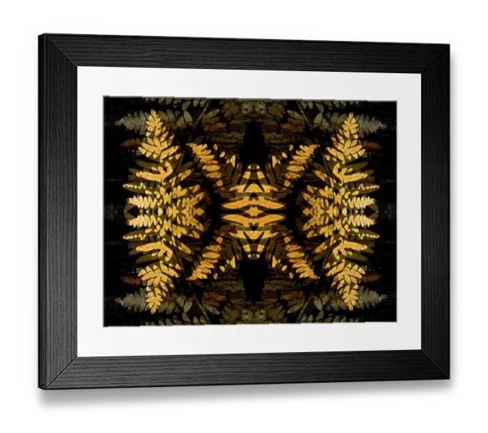 Framed Print : Yellow fern abstract Framed Print : Yellow fern abstract