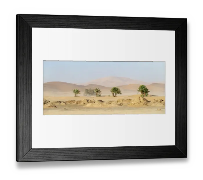 Framed Print : Africa, Morocco, Erg Chebbi. Trees and sandstorm over desert. ©Bill Young / Jaynes Gallery / DanitaDelimont.com Framed Print : Africa, Morocco, Erg Chebbi. Trees and sandstorm over desert. ©Bill Young / Jaynes Gallery / DanitaDelimont.com