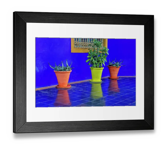Framed Print : Morocco, Marrakech. Majorelle Garden (Jardin Majorelle) Framed Print : Morocco, Marrakech. Majorelle Garden (Jardin Majorelle)