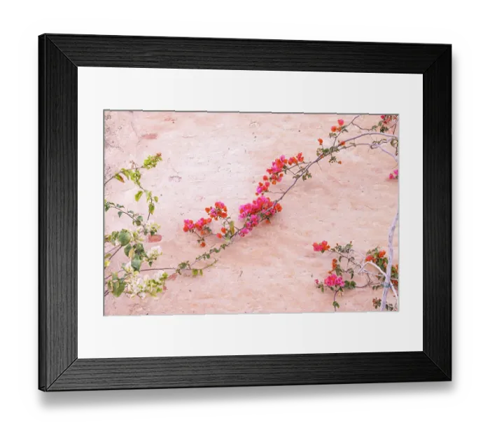 Framed Print : Kairouan, Tunisia. Flowers against a wall in the city of Kairouan