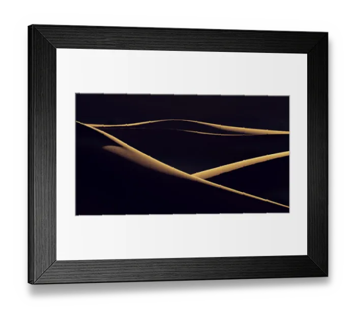 Framed Print : Africa, Erg Chebbi, Morocco. Desert dune contrast. ©Bill Young  /  Jaynes Gallery  /  DanitaDelimont.com