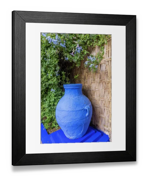 Framed Print : Morocco, Marrakech. Majorelle Garden (Jardin Majorelle)