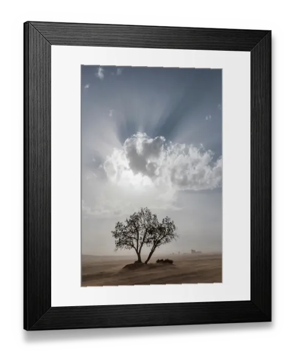 Framed Print : Africa, Morocco, Erg Chebbi. God rays in clouds over tree and desert sandstorm. ©Bill Young / Jaynes Gallery / DanitaDelimont.com Framed Print : Africa, Morocco, Erg Chebbi. God rays in clouds over tree and desert sandstorm. ©Bill Young / Jaynes Gallery / DanitaDelimont.com