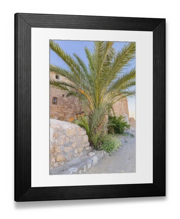 Framed Print : Chenini, Tataouine, Tunisia. Palm tree and stone buildings in the town of Tatouine