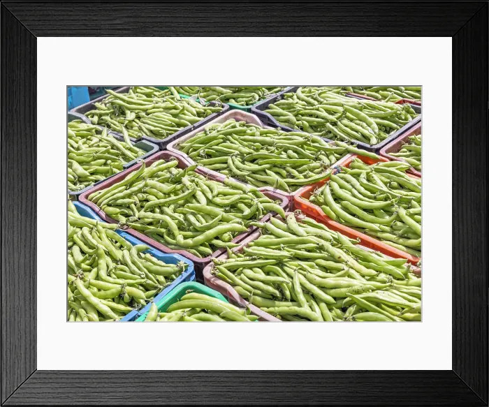 Framed Print : Tunisia. Fresh bean pods on a farm in Tunisia Framed Print : Tunisia. Fresh bean pods on a farm in Tunisia
