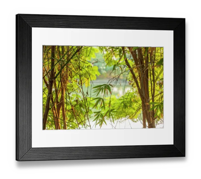 Framed Print : South India. Morning light by lake