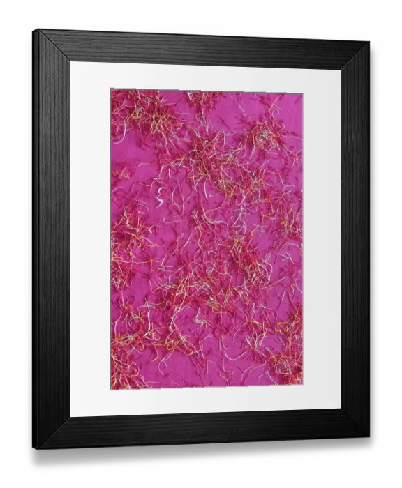 Framed Print : Chanda Haro, Pampore, Jammu and Kashmir, India. Pistils from saffron crocus flowers Framed Print : Chanda Haro, Pampore, Jammu and Kashmir, India. Pistils from saffron crocus flowers