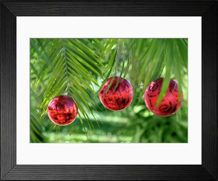 Framed Print : Tropical holiday Framed Print : Tropical holiday