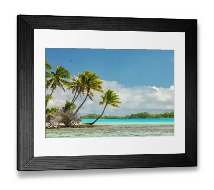 Framed Print : French Polynesia, Rangiroa Atoll. Blue Lagoon and palm trees. ©Cathy & Gordon Illg  /  Jaynes Gallery  /  DanitaDelimont.com